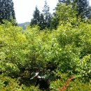 인영상사 이미지