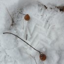 근형농장 이미지