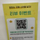 🔮 서울 사주 잘 보는 곳 별에서 사주 타로 솔직 후기