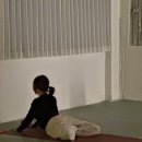 한호요가