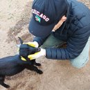 사계절 흑염소 농장 이미지