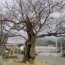 한양가는 길목