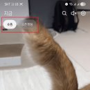 카카오일 | 업데이트된 카카오톡 사용 후기