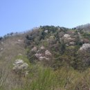 자연숲민박 이미지