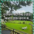 호국로111 | [양주 애견 운동장/수영장] 자연테마 애견카페 운동장 -네이처독 / 카페휘바 개진심후기