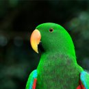 메가병원 이미지