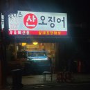 소풍나온산오징어