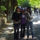 미정이네 이미지