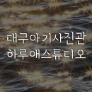 하루애스튜디오 이미지
