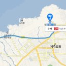 지금애월 이미지