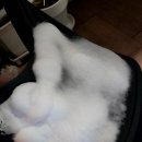 카시트 유모차 청소 블랑코 홈클리너로 내돈내산 후기
