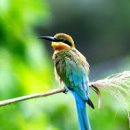 삼희아파트 이미지