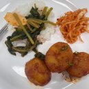 스테이 철원 | 수덕사 템플스테이 내돈내산 후기🙏