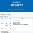 수협은행 데일리안