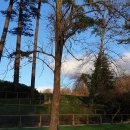 황금캐슬산업 | Port Talbot, 자랑할게 노을뿐일까?