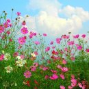 의정부역공인중개사사무소 이미지