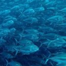 망마체육센터수영장 이미지