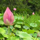 소박한밥상 이미지