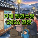 거제도국제펭귄수영축제 | 2026년 거제도 펭귄수영, 겨울 바다 챌린지 일정은?
