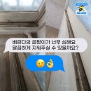 허니클린 이미지