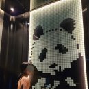 GO HOTEL | 중국 사천 청두 랑보호텔 스위트룸 후기, 조식까지 완벽했던 하얏트 계열의 호텔 chengdu langbo hotel