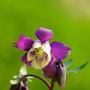 농업기술센터 안 이미지