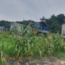 용인IC공인중개사사무소 이미지