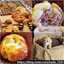 북촌35제빵소 | 공주 밤빵 밤파이 맛있는 빵집 동학사 북촌35제빵소 베이커리 선물 추천