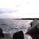 가고픈청보리 이미지