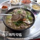 청도돼지국밥 | 대구 청도돼지국밥 봉덕시장 맛집 주차 및 내돈내산 후기