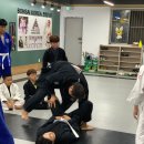 미르 주짓수 유도관 이미지