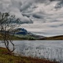 용인노인전문요양원 이미지