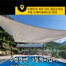 고령스테이포레스트 네이버블로그