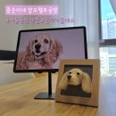 (11/19) 양모펠트_키링 | [콩순이네 양모펠트공방] 반려견 인형 만들기 원데이 클래스