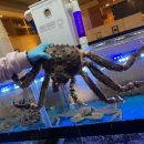 어서오시게 부천옥길점 이미지