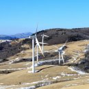 삼양목장 이미지