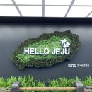 스테이동백 이미지