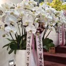 디 애스턴 한남 한강변 아파트 분양가가 얼마야? 이미지