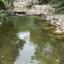 상신계곡펜션 이미지