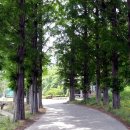 양지-3573 이미지