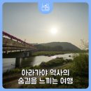 자원 오리성 네이버블로그