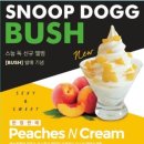 피치앤크림 - 강남구 도산대로16길 13-16 | 피치앤크림