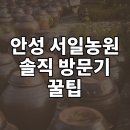 자연꽃농원 | 안성 서일농원 방문 후기! 전통 장 체험부터 맛집까지 총정리