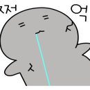 서울에스유외과의원 이미지