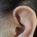 복음보청기 성남센터 이미지