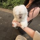 롯데강남파슨스 | 진짜잘노네
