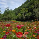 삼수동 주민복지센터 이미지