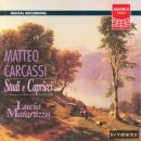 마테오 카르카시-6 개의 카프리치오 Op.26_No.6 in A major (Allegro non troppo) / 루치오 마타라쵸 연주 이미지