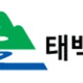 (자)태백소방 이미지