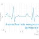 안정시 심박수 정상 수치 목표 평균 심박수 심장박동수 최대 심박수 이미지